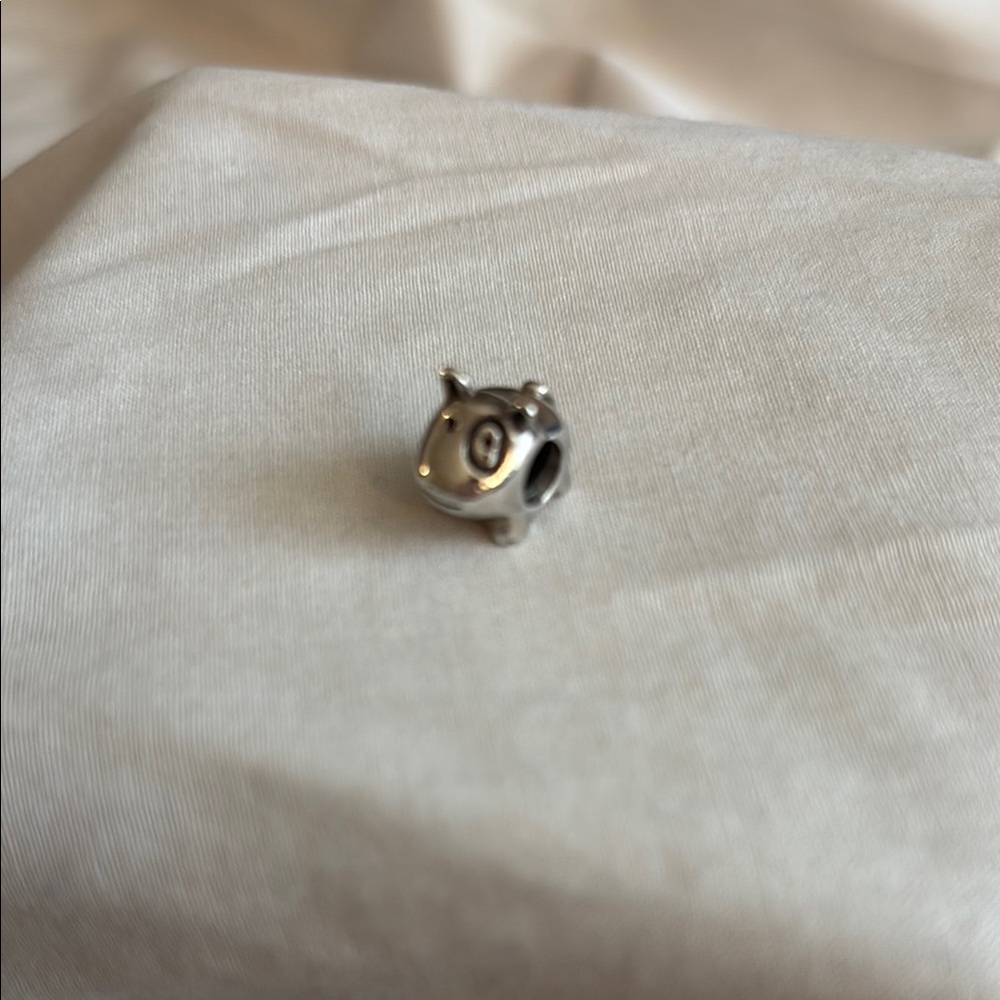 Pandora Dog Charm Retired